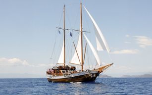 Au départ d'Athènes : Croisière d'une demi-journée vers les îles Saroniques
