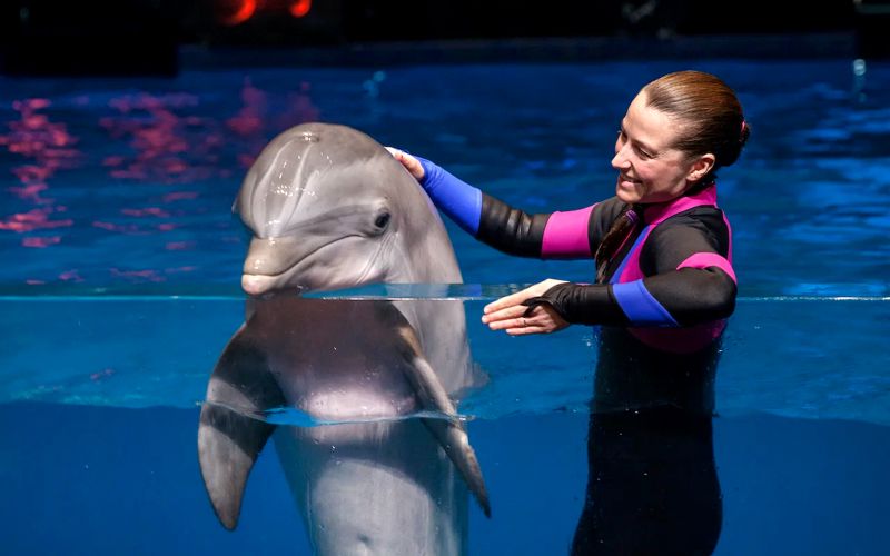 Billet Billets coupe-file pour l'Aquarium de Géorgie