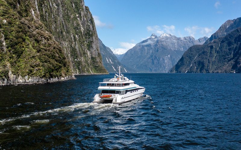 Croisière dans le Milford Sound avec Déjeuner en option