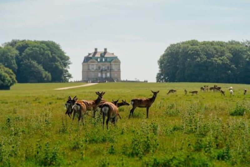 Dyrehaven Deer Park : tour à vélo + transfert en train à Copenhague