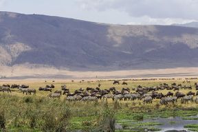 Excursion au cratère du Ngorongoro depuis Arusha