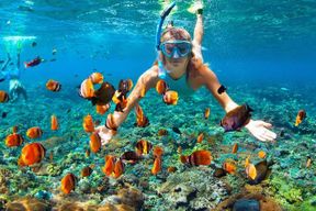 Excursion privée aux îles Nalusuan, Hilutungan et Caohagan au départ de Cebu