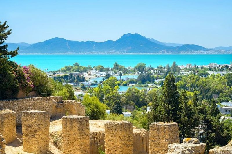 Excursion à Carthage et Sidi Bou Saïd depuis Tunis