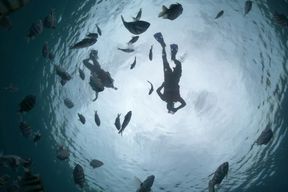 Balade en bateau à fond de verre et snorkeling à Cozumel