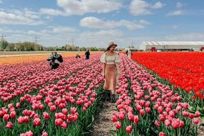 Excursion à Keukenhof depuis Amsterdam avec croisière dans les moulins à vent