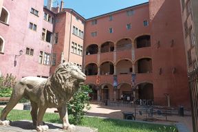 Visite privée d'Arles