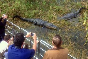 Tour en hydroglisseur dans les Everglades avec billets Wild Florida et dejeuner option