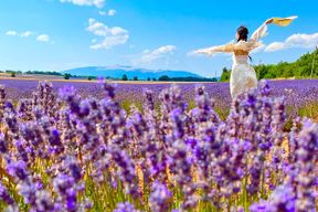 Excursion à Gordes, à Roussillon et à l'Abbaye de Notre-Dame de Sénanque depuis Avignon