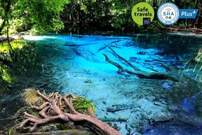 Excursion au Temple du Tigre, à la Piscine Émeraude et aux sources thermales depuis Krabi