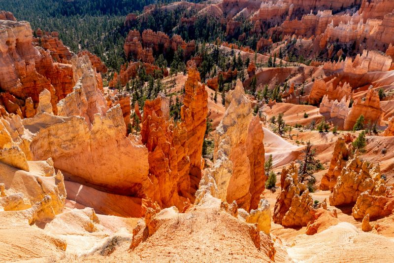 Excursion au Bryce Canyon et au Parc National de Zion depuis Las Vegas