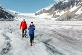 Excursion au Glacier Athabasca et au Champ de Glace Columbia depuis Jasper