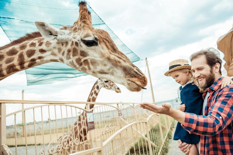 Billets pour le zoo de Hellabrunn avec transfert aller-retour depuis Munich