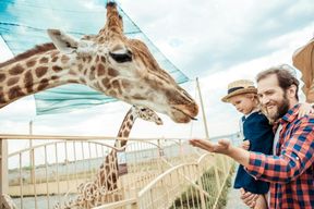 Billets pour le zoo de Hellabrunn avec transfert aller-retour depuis Munich