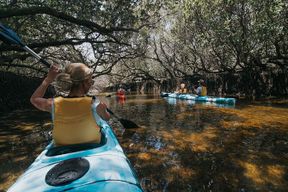 Excursion en kayak au sanctuaire des dauphins d'Adélaïde