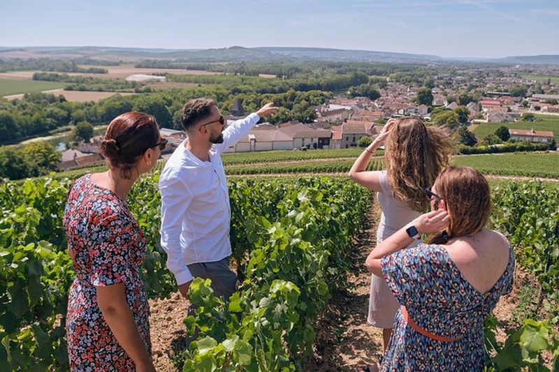 Billet Excursion dans la région du Champagne depuis Épernay