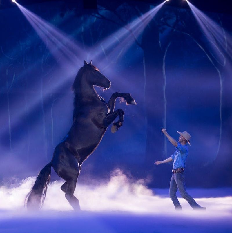 Dîner avec spectacle Australian Outback Spectacular à Oxenford