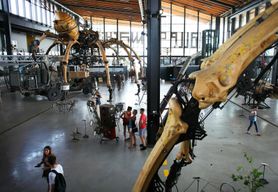 Billets pour la Halle de la Machine à Toulouse