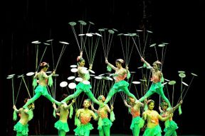 Billets pour un spectacle d'acrobates et visite nocturne de Shanghai