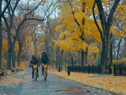 Location de vélos à Central Park