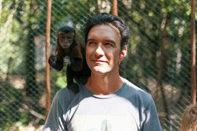 Billets pour le sanctuaire des singes d'Akumal depuis Playa del Carmen