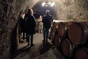 Excursion aux caves de la Ribera del Duero depuis Madrid
