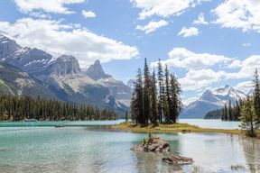 Visite guidée de la nature du Parc National de Jasper