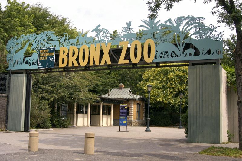 Billets pour le Zoo du Bronx
