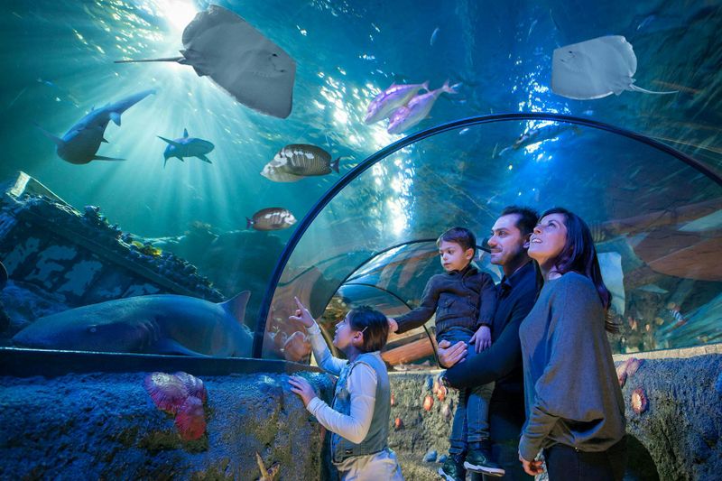 Billets pour Sea Life Gardaland à Castelnuovo del Garda
