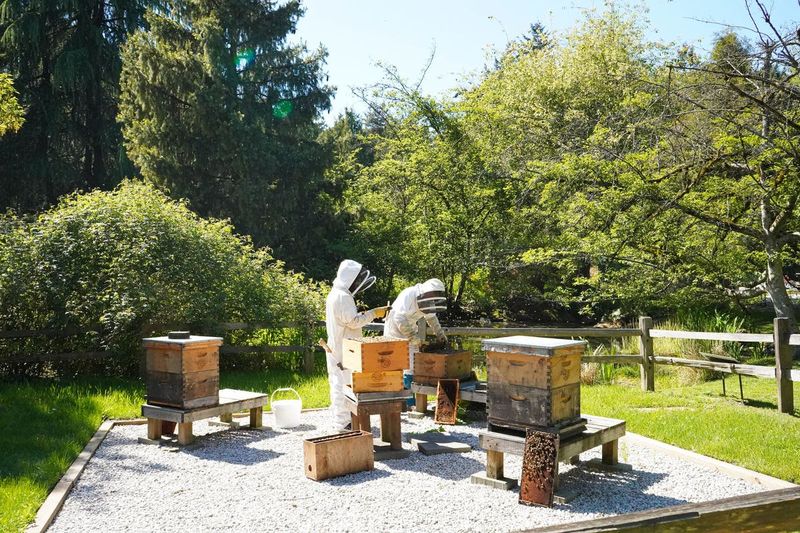 Billets pour le jardin botanique VanDusen à Vancouver