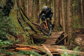 Location de vélos chez Teddy Bike