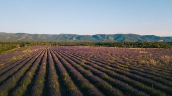 Location de vélos chez Luberon Bike Rental