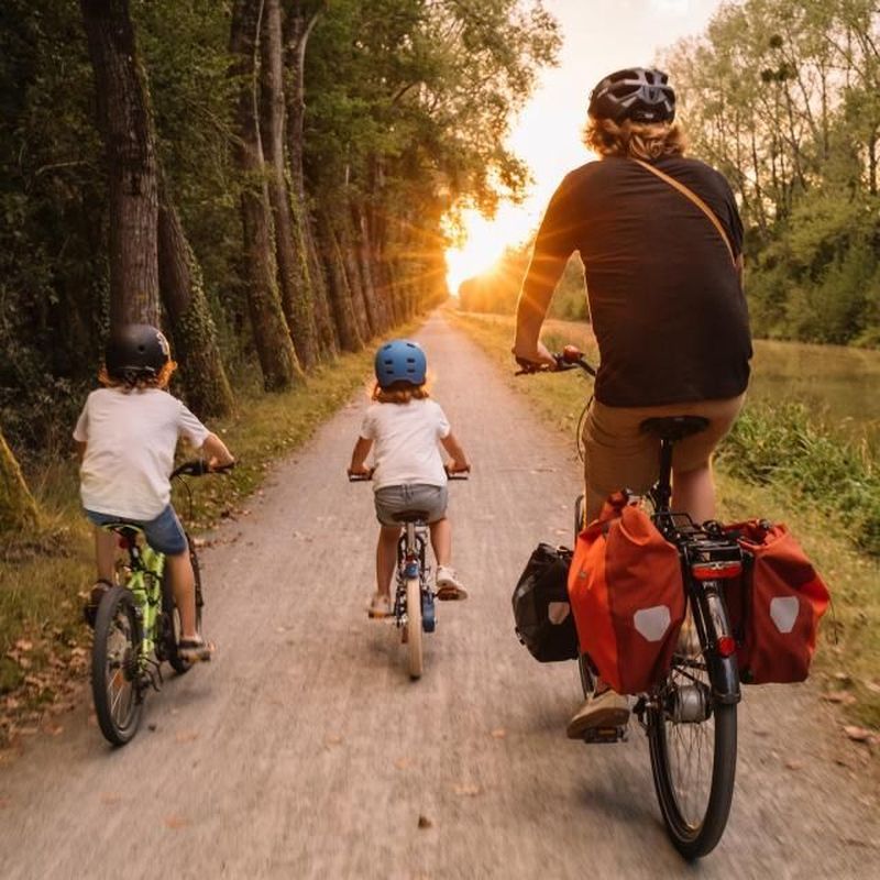 Location de vélos chez Bike in Vaison Ventoux