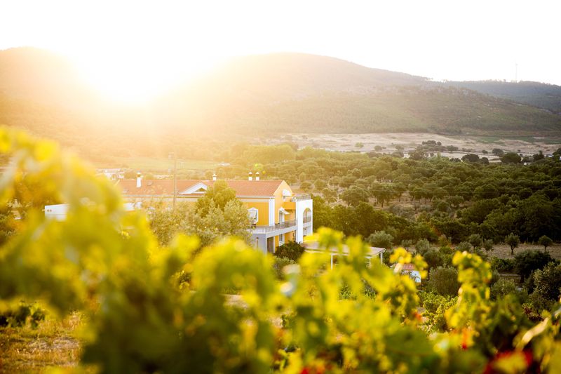 Location de vélos chez Cabeças do Reguengo - Ebikelovers Bike Rental point
