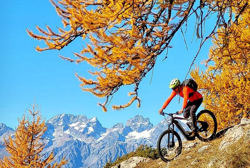 Location de vélos chez 60-40 Le vélo easy