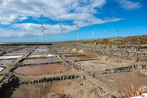 Visite gastronomique, distillerie et dégustation à Gran Canaria