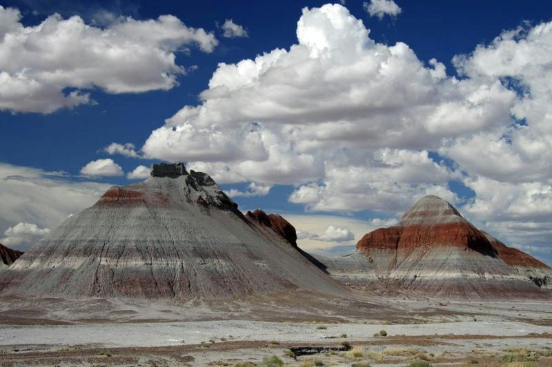 Self-guided driving audio tour of the Petrified Forest National Park
