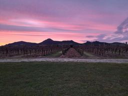 Expérience œnologique et gastronomique d'Alghero dans une cave