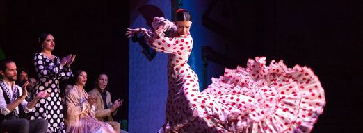 Spectacle de flamenco de Tablao Palacio Andaluz avec cava