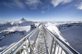 Excursion d'une journée à Glacier 3000 et Montreux depuis Genève