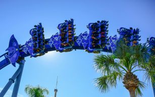 Billet d'une journée au SeaWorld® d'Orlando