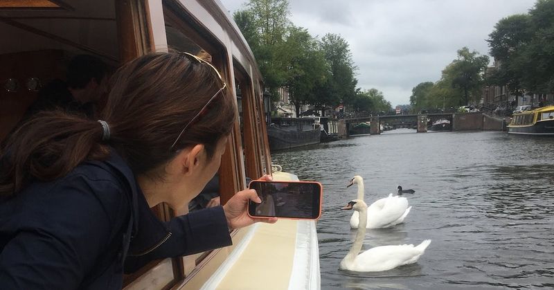 Croisière matinale sur les canaux d'Amsterdam