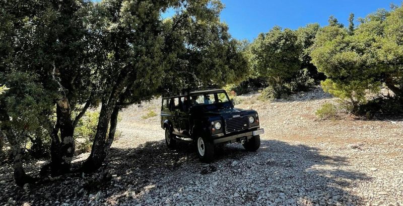 Tour gastronomique et artisanal en 4x4 à Dorgali depuis Cala Gonone