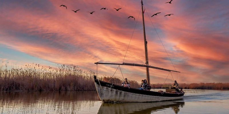 Parc naturel de l'Albufera avec excursion en bateau au coucher du soleil au départ de Valence