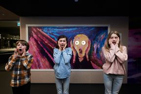 Billets d'entrée pour le musée Paradox d'Oslo