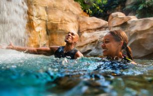 Packages Discovery Cove 2026
