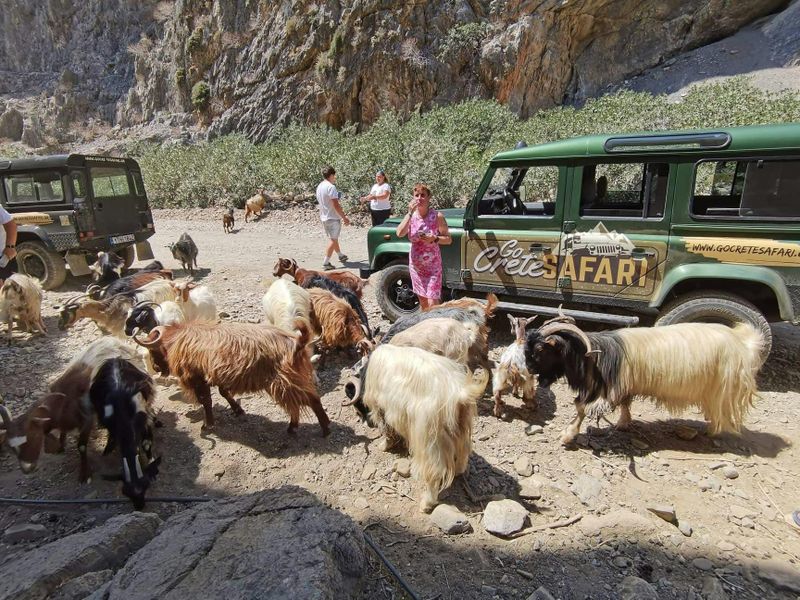 Visite privée d'Agiofarago et de la plage de Matala