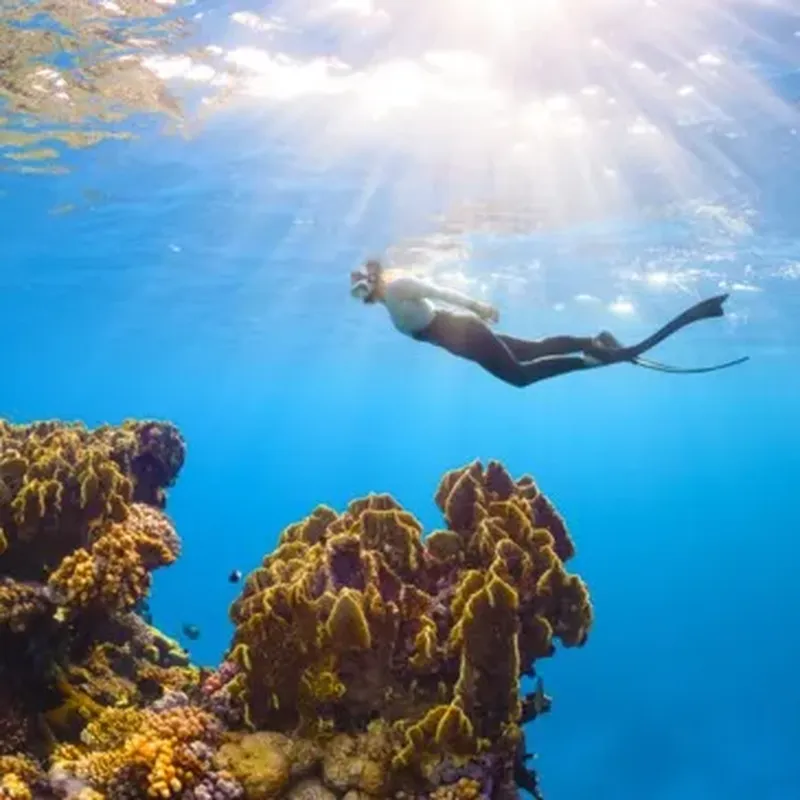 Balade en bateau et Snorkeling à Menton