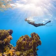 Balade en bateau et Snorkeling à Menton