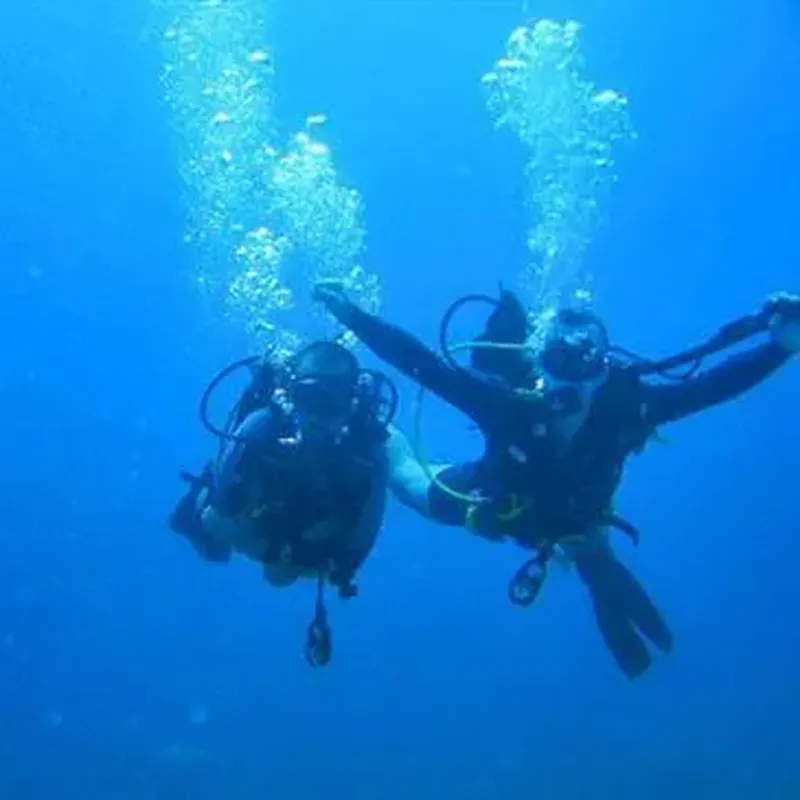 Initiation à la Plongée dans les Calanques de la Côte Bleue