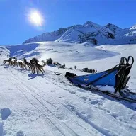 Randonnée en Chiens de Traîneau à La Mongie